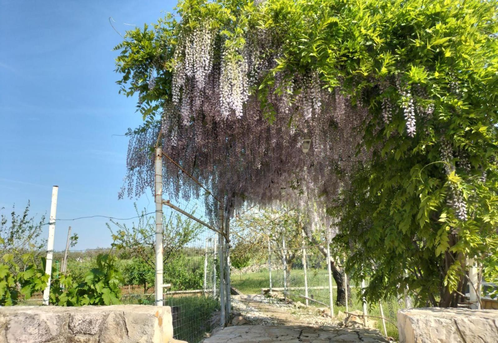 Il Giardino Delle Fate Hotell La Correggia Exteriör bild